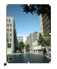 q1075img3.gif